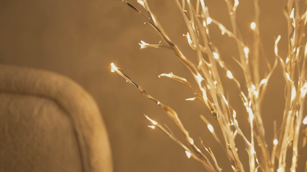 Willow Glow
